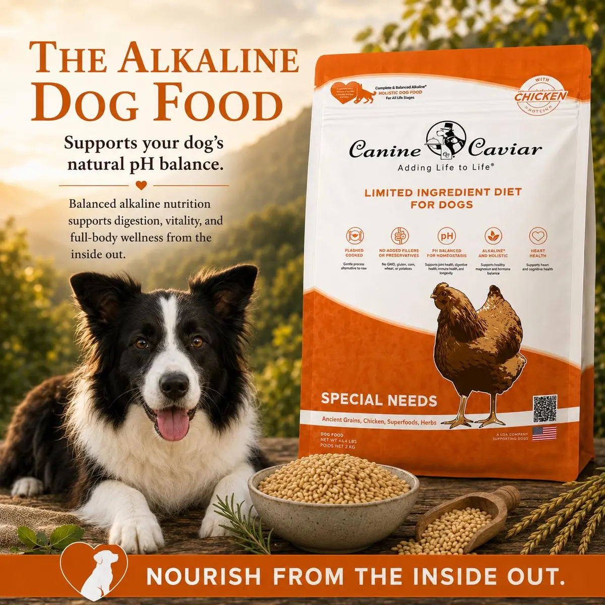 Canine Caviar Special Needs Dry Dog Food Chicken & Brown Rice 4.4 lb | Alkaline, Sensitive Digestive Support - view 3