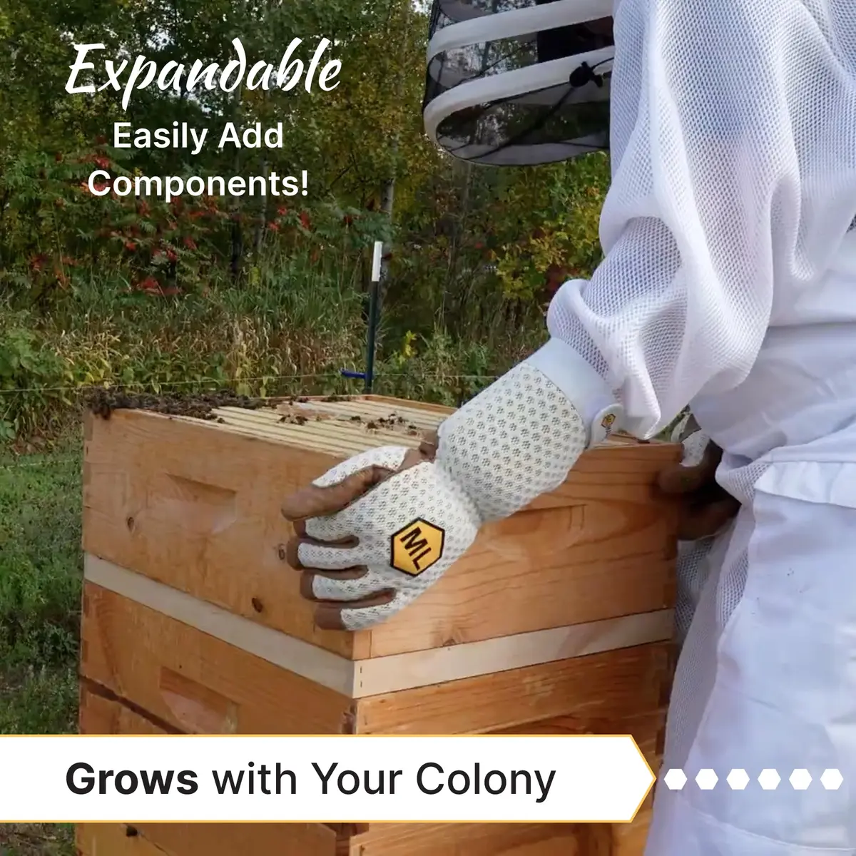 Mann Lake 10-Frame Deep Hive Kit, 9⅝" Bee Hive Body, Unpainted | Durable Pine, Ready to Use - view 6