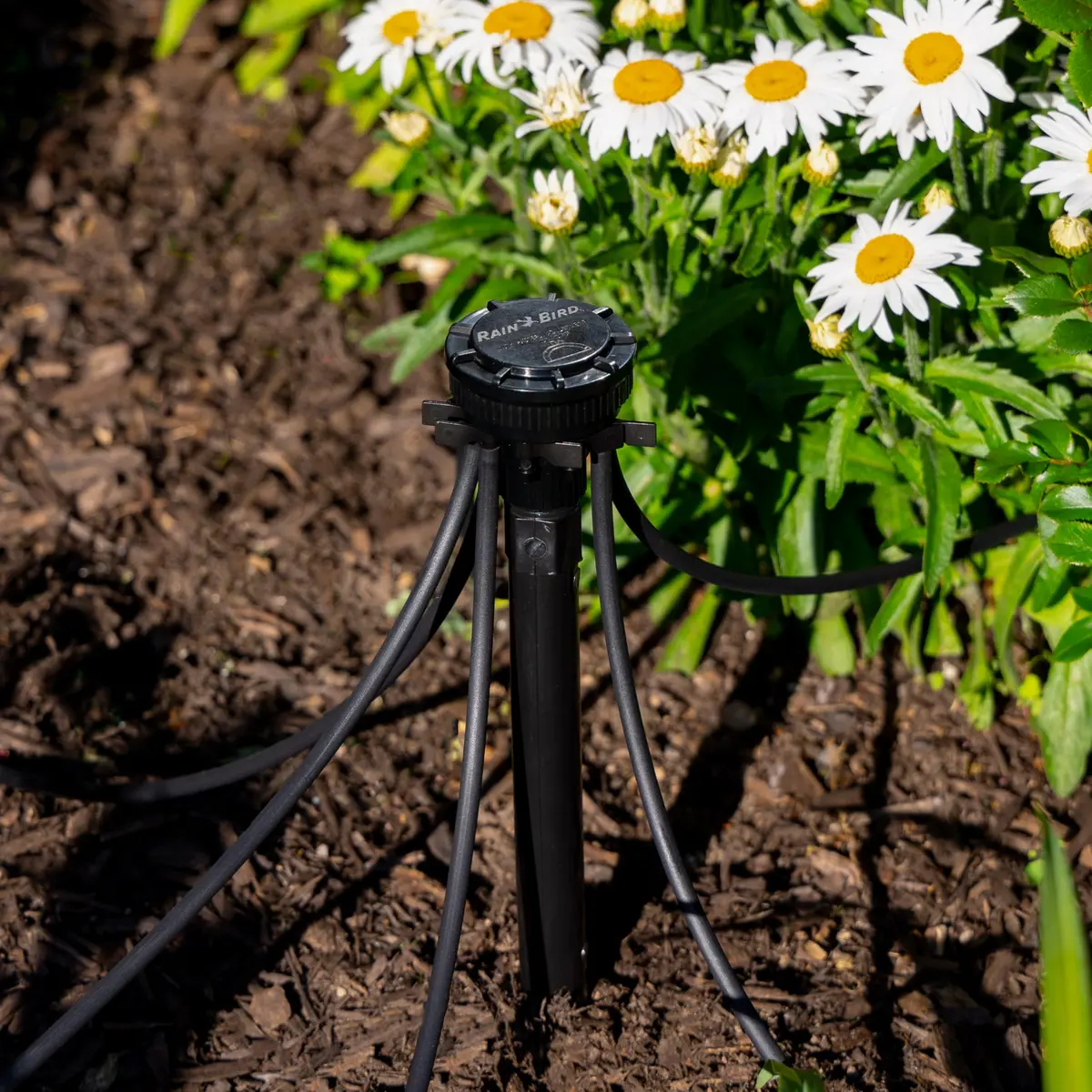 Rain Bird 9-Port Drip Manifold 1/2" NPT x 1/4" Drip, 25 PSI Adjustable Flow, Black | Connects up to nine 1/4" Drip irrigation tubes to a 1/2" riser - view 5