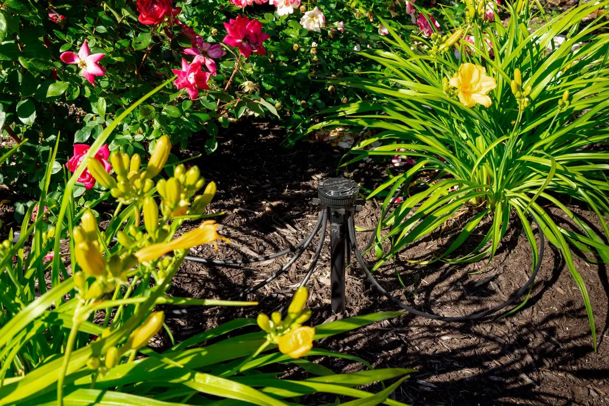 Rain Bird 9-Port Drip Manifold 1/2" NPT x 1/4" Drip, 25 PSI Adjustable Flow, Black | Connects up to nine 1/4" Drip irrigation tubes to a 1/2" riser - view 8