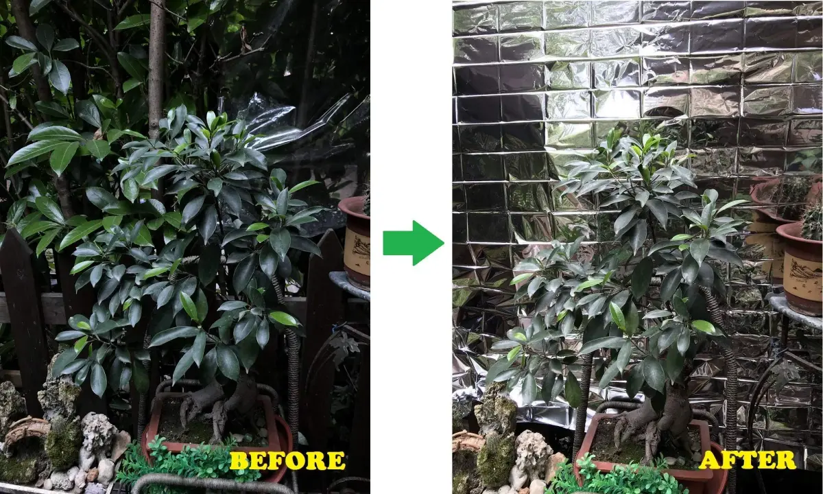 NAVADEAL Silver Highly Reflective Mylar Film Sheets 210cm x 120cm (82" x 47") | Increase Plant Growth & Save Power - view 6