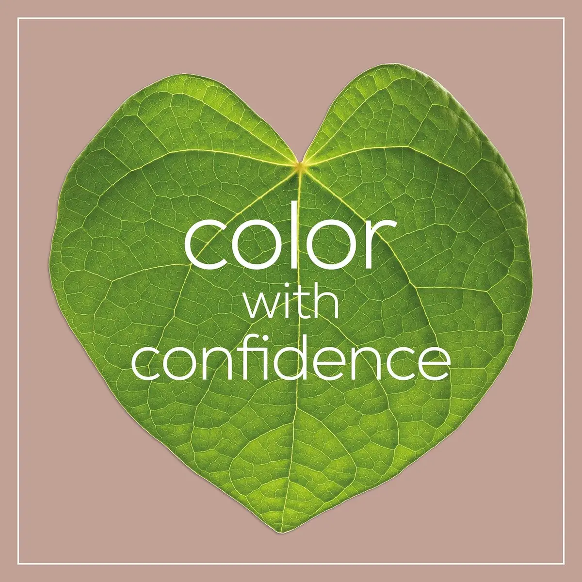 Naturtint Permanent Hair Colour 2N Brown Black | Natural Ingredients & Long-Lasting Color - view 10