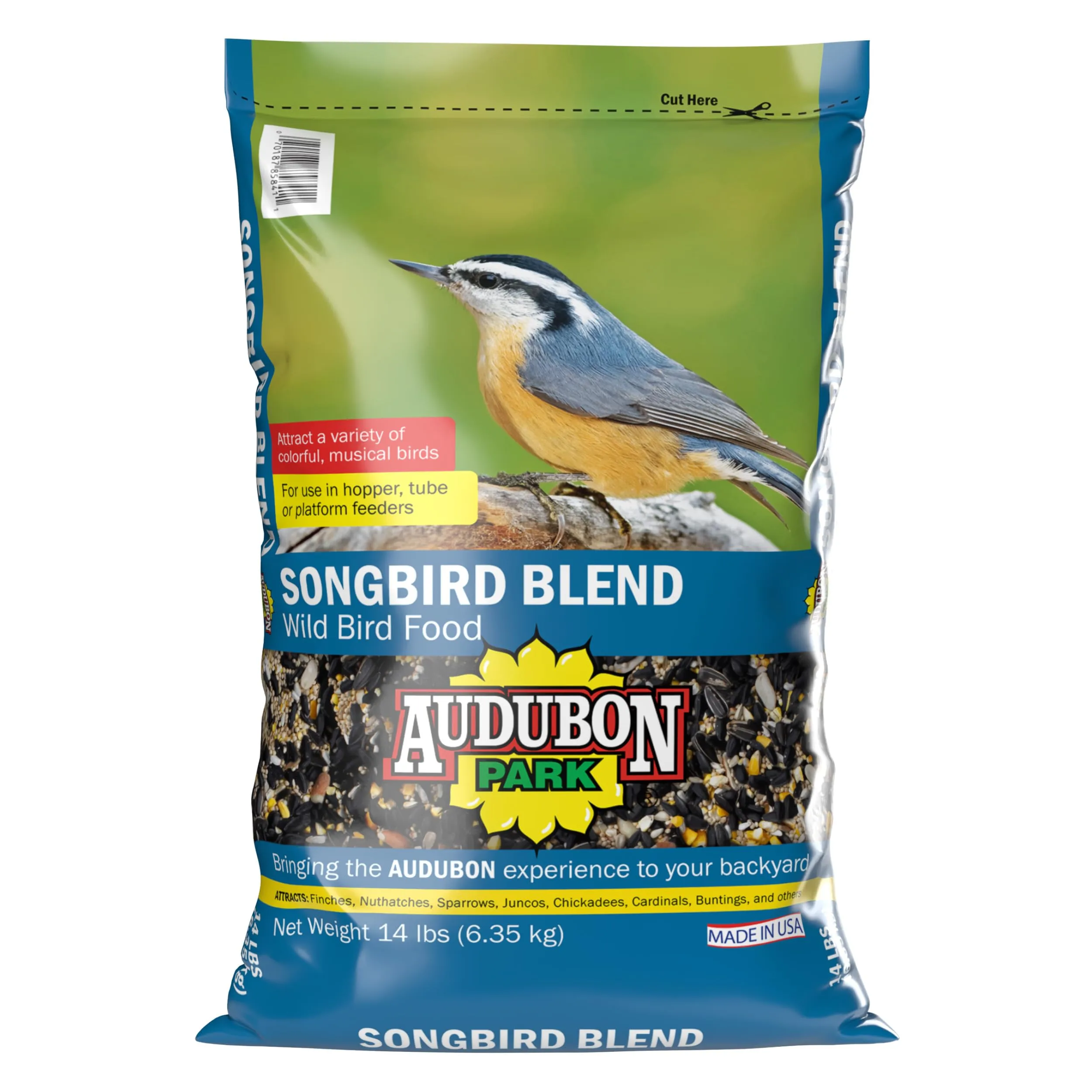 Birds