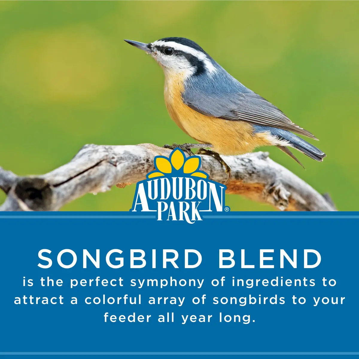 Audubon Park Songbird Bird Seed 14 lb | Supports Year-Round Feeding with Nutritious Blend - view 2