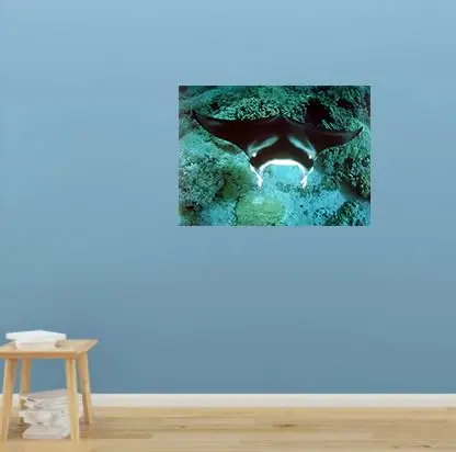 Impact Posters Gallery Underwater Ocean Animal Manta Ray Sea Life Wall Decor 16x20 | Vibrant Marine Scene - view 9