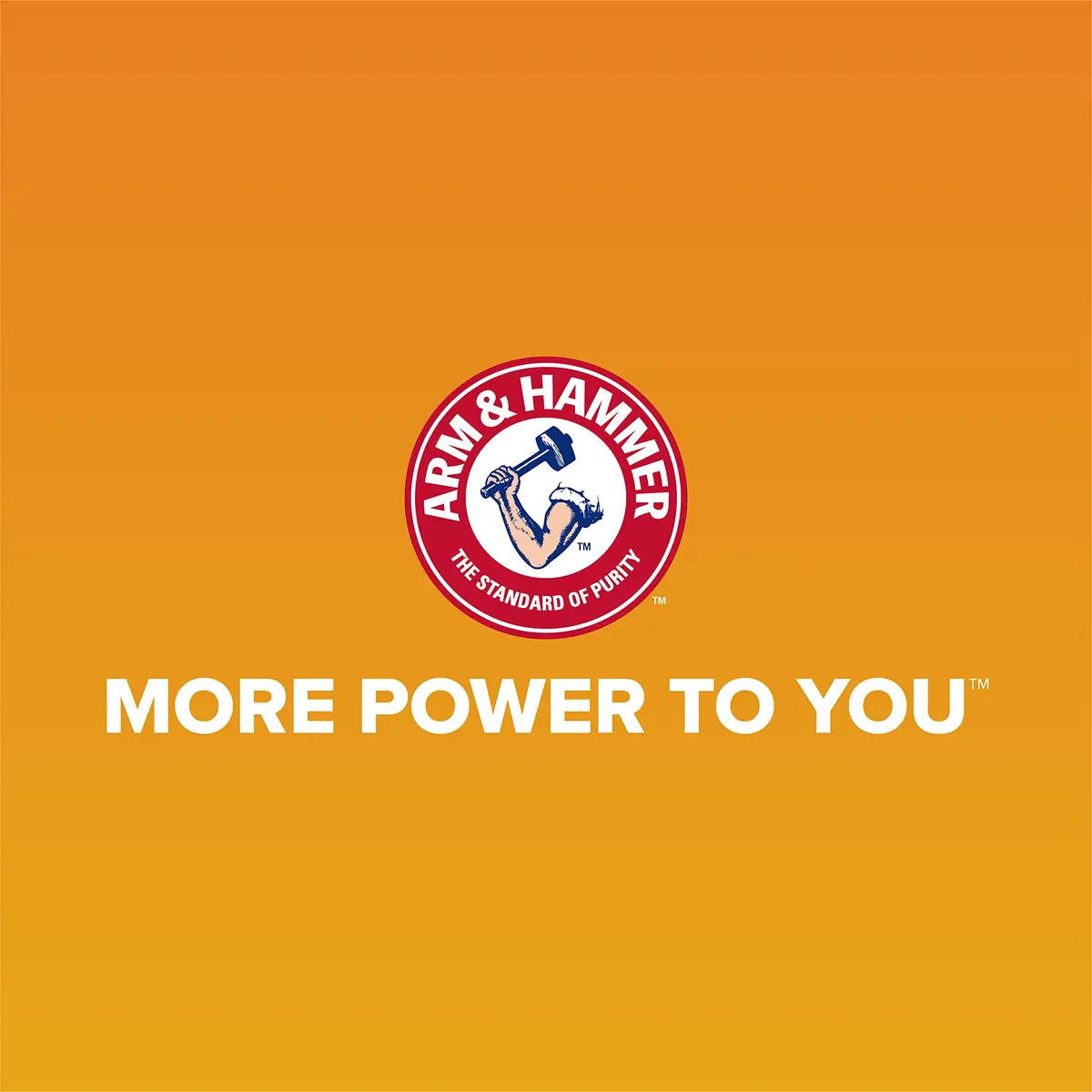Arm & Hammer Rimmed Cat Litter Box with High Sides and Microban | Large, Odor-Resistant, Made in USA - view 8