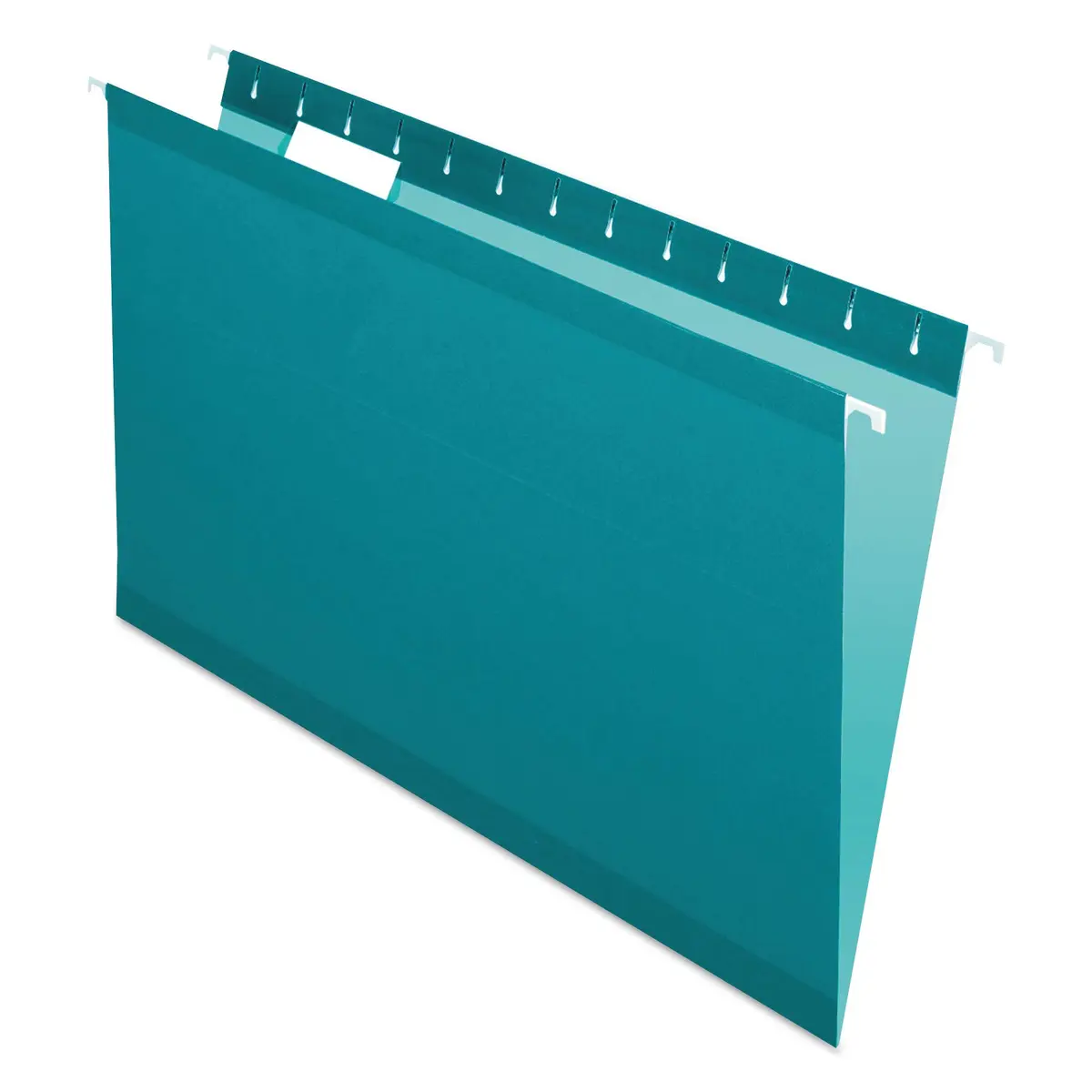 Esselte Reinforced Hanging Folders Legal Size 25/Box | Color-Coded Durable Filing - main product image