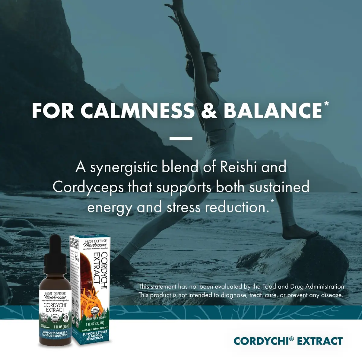 Host Defense CordyChi Extract 1 fl oz | Immune & Energy Support with Organic Mushrooms - view 5