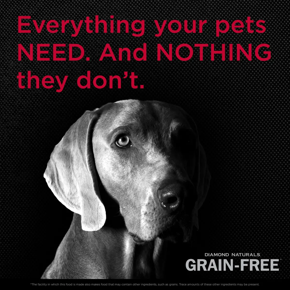 Diamond Naturals Grain Free Real Meat Recipe Premium Dry Dog Food 5Lb | Supports Lean Muscles & Energy - view 4