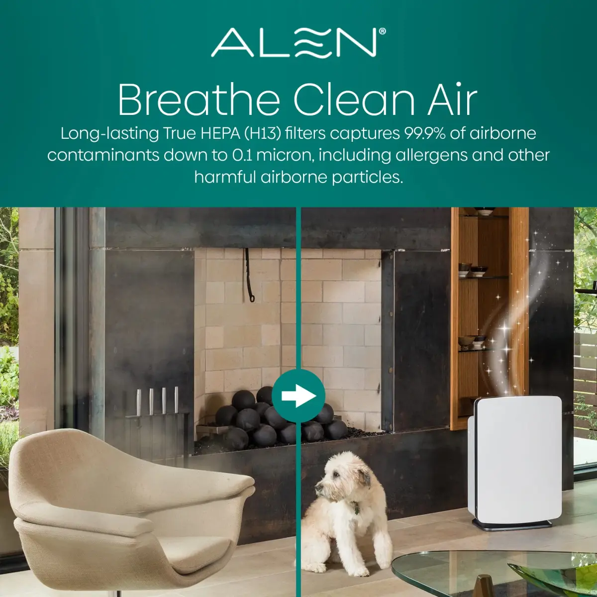 Alen BreatheSmart Classic Replacement Filter — True HEPA & Activated Carbon Filter for VOCs, Dust, Dander, Smoke, Odors (1-Pack) - view 6
