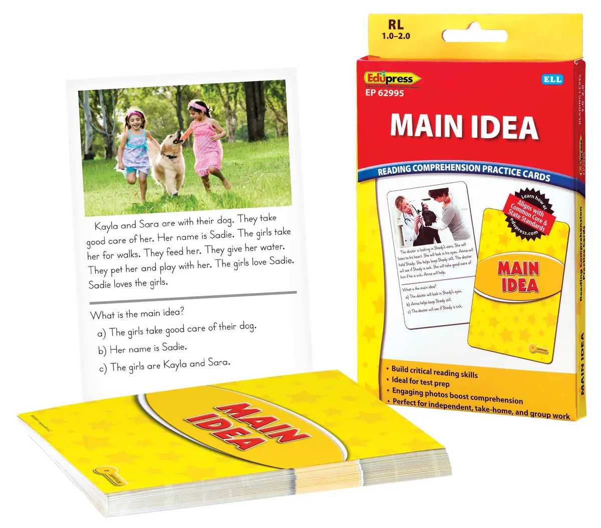 Edupress Reading Comprehension Practice Cards, Main Idea, Yellow Level | Supports Reading Skills for Class 1-2 - main product image