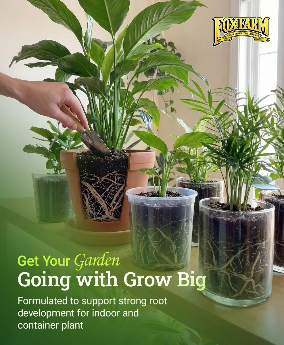 FoxFarm Grow Big Liquid Plant Food 6-4-4 | Supports Lush Vegetative Growth & Fast Nutrient Uptake - view 6