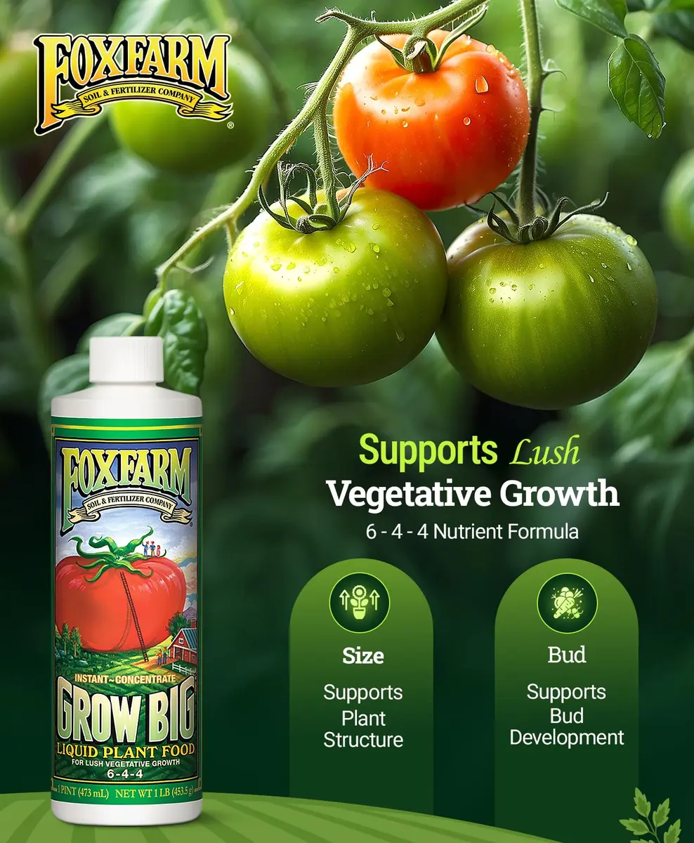 FoxFarm Grow Big Liquid Plant Food 6-4-4 | Supports Lush Vegetative Growth & Fast Nutrient Uptake - view 2