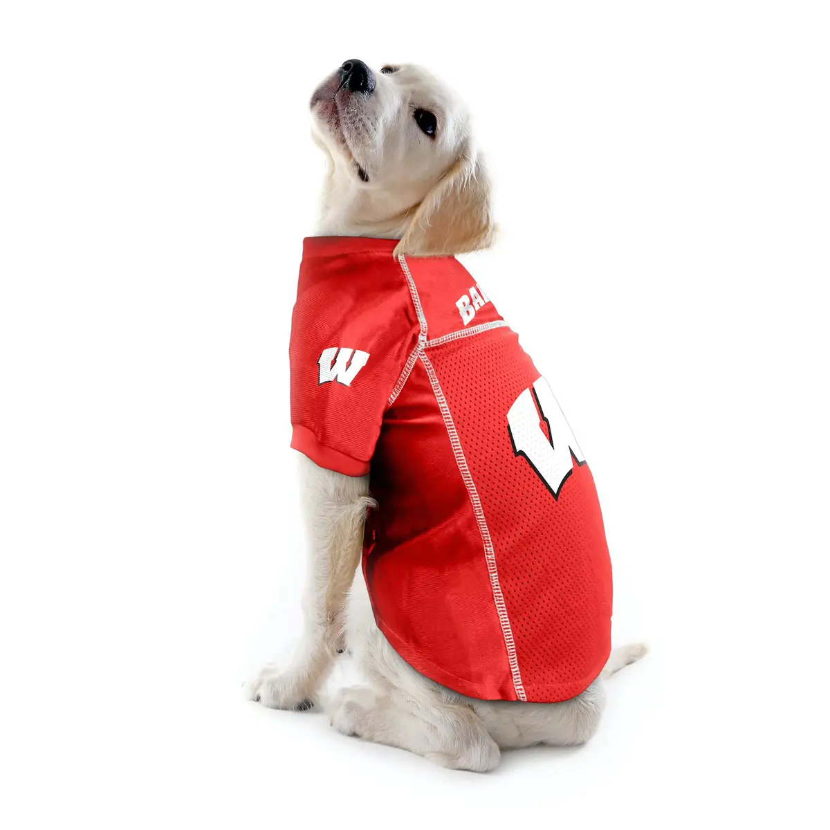 Littlearth NCAA Wisconsin Badgers Basic Pet Jersey, Team Color, X-Large | Officially Licensed NCAA Pet Jersey - view 2