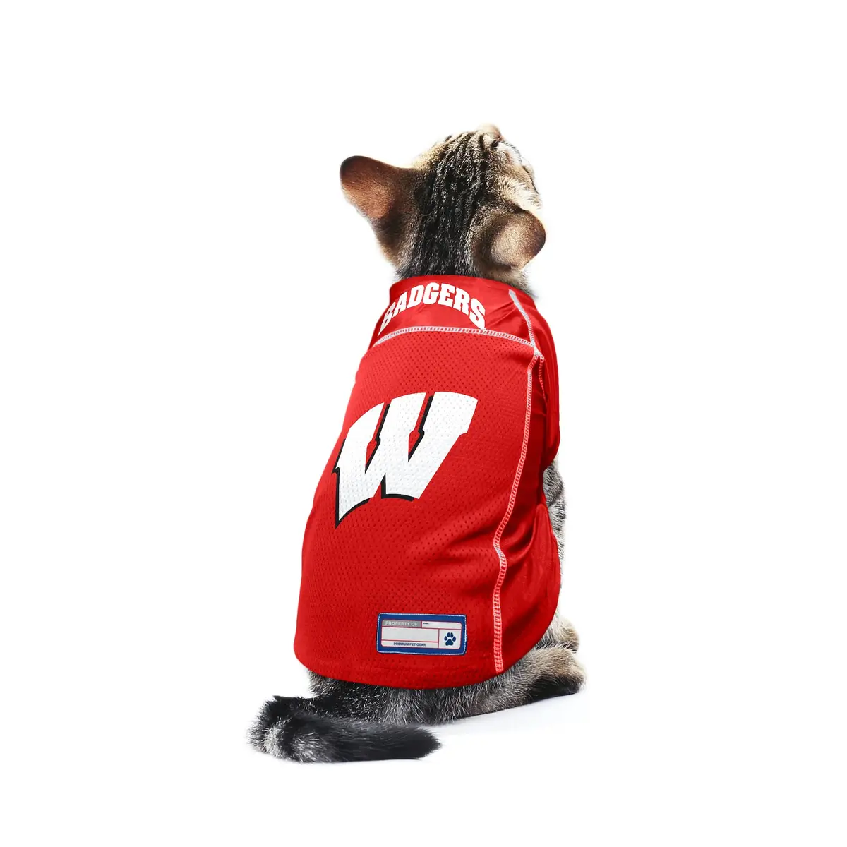 Littlearth NCAA Wisconsin Badgers Basic Pet Jersey, Team Color, X-Large | Officially Licensed NCAA Pet Jersey - view 4