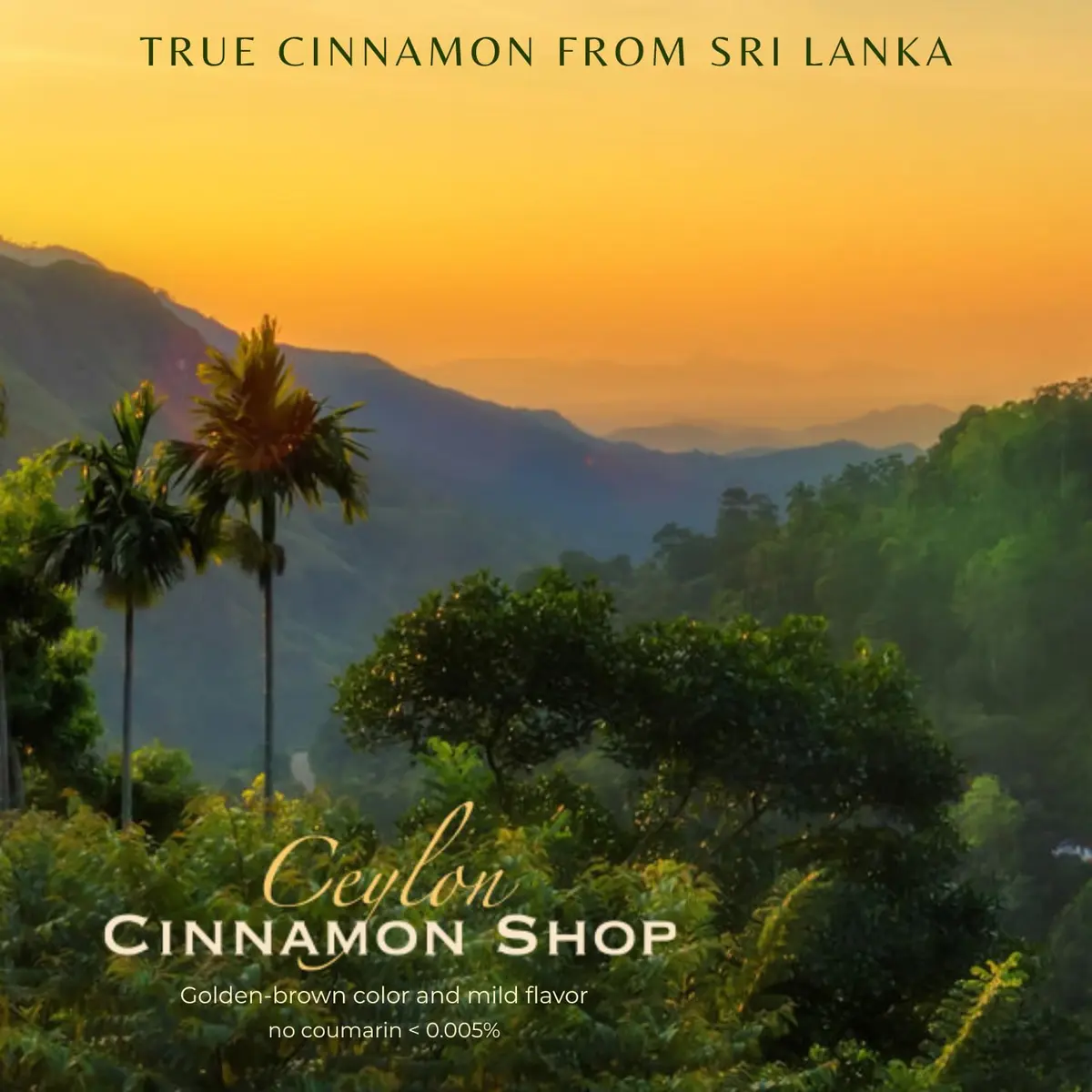 Ceylon Cinnamon Shop Organic Ceylon Cinnamon Capsules 180 Count | USDA Certified Supplement for Daily Wellness - view 5
