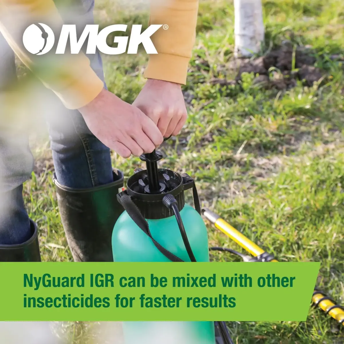 MGK NyGuard IGR Concentrate Insecticide 140ml (4.73 Fl Oz) | Breaks Insect Life Cycles - view 4