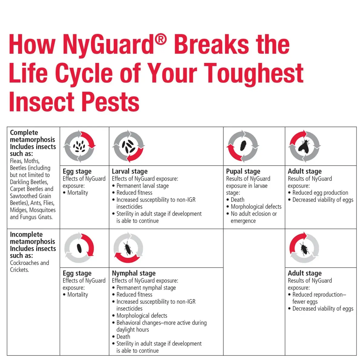 MGK NyGuard IGR Concentrate Insecticide 140ml (4.73 Fl Oz) | Breaks Insect Life Cycles - view 6