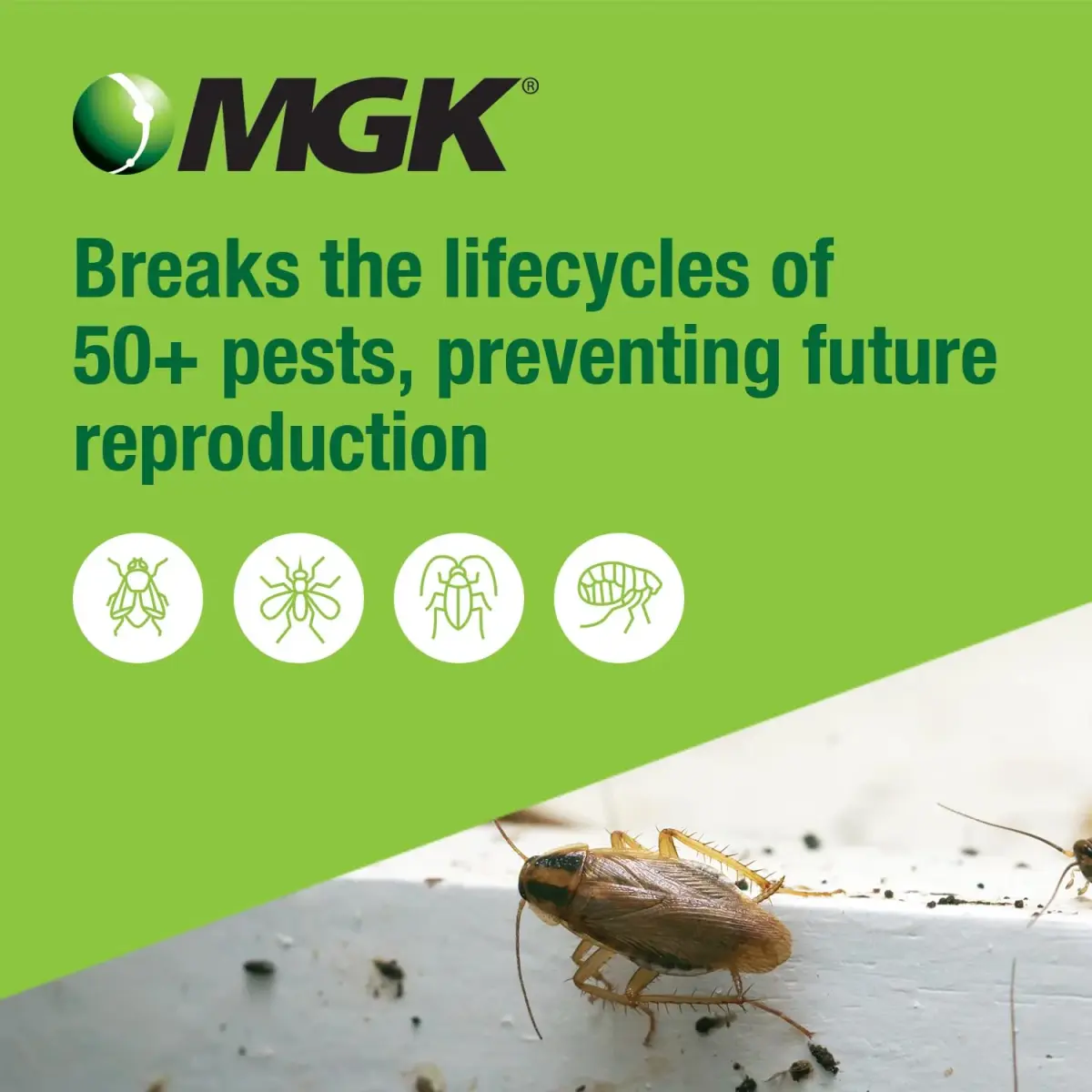 MGK NyGuard IGR Concentrate Insecticide 140ml (4.73 Fl Oz) | Breaks Insect Life Cycles - view 3
