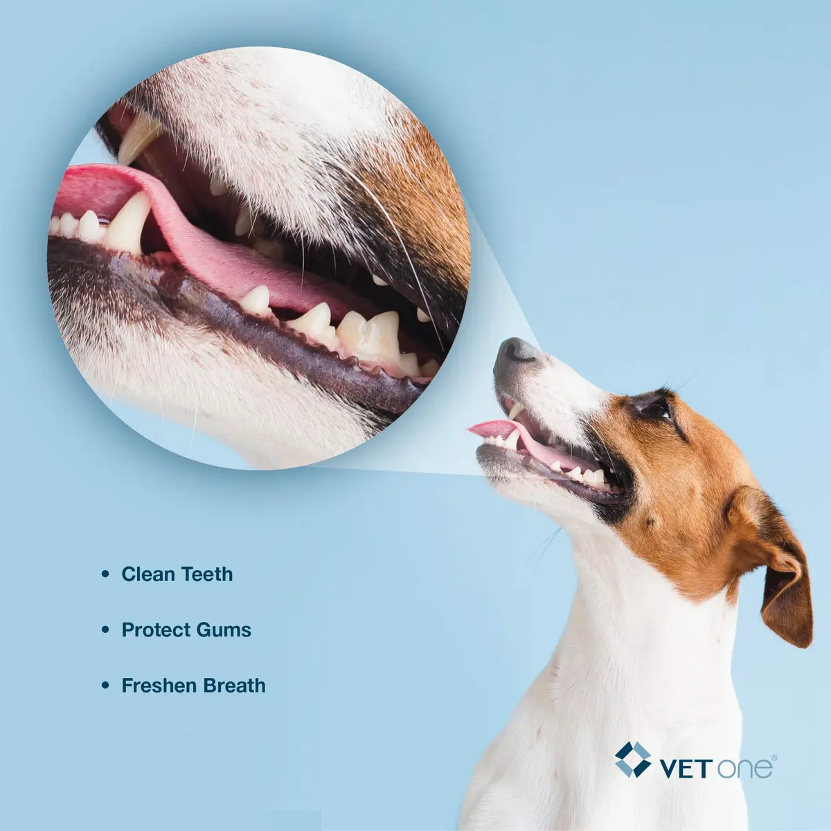 Vet One DuoClenz Rawhide Dental Chews for Small Dogs 30 Count | Enzymatic Oral Care & Fresh Breath - view 5