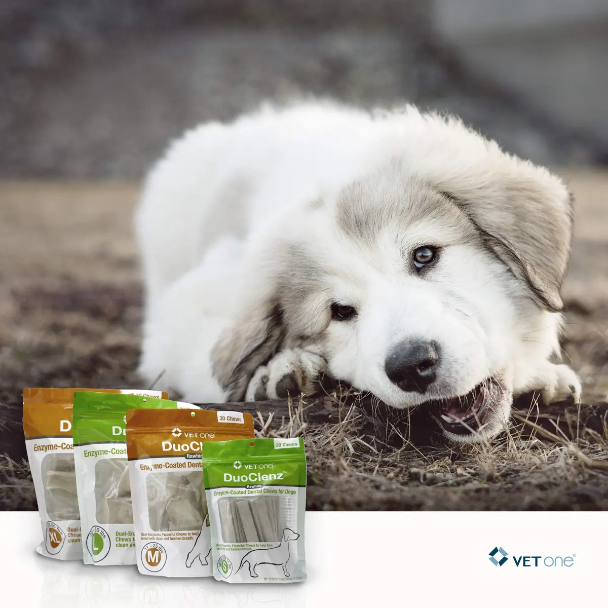 Vet One DuoClenz Rawhide Dental Chews for Small Dogs 30 Count | Enzymatic Oral Care & Fresh Breath - view 7
