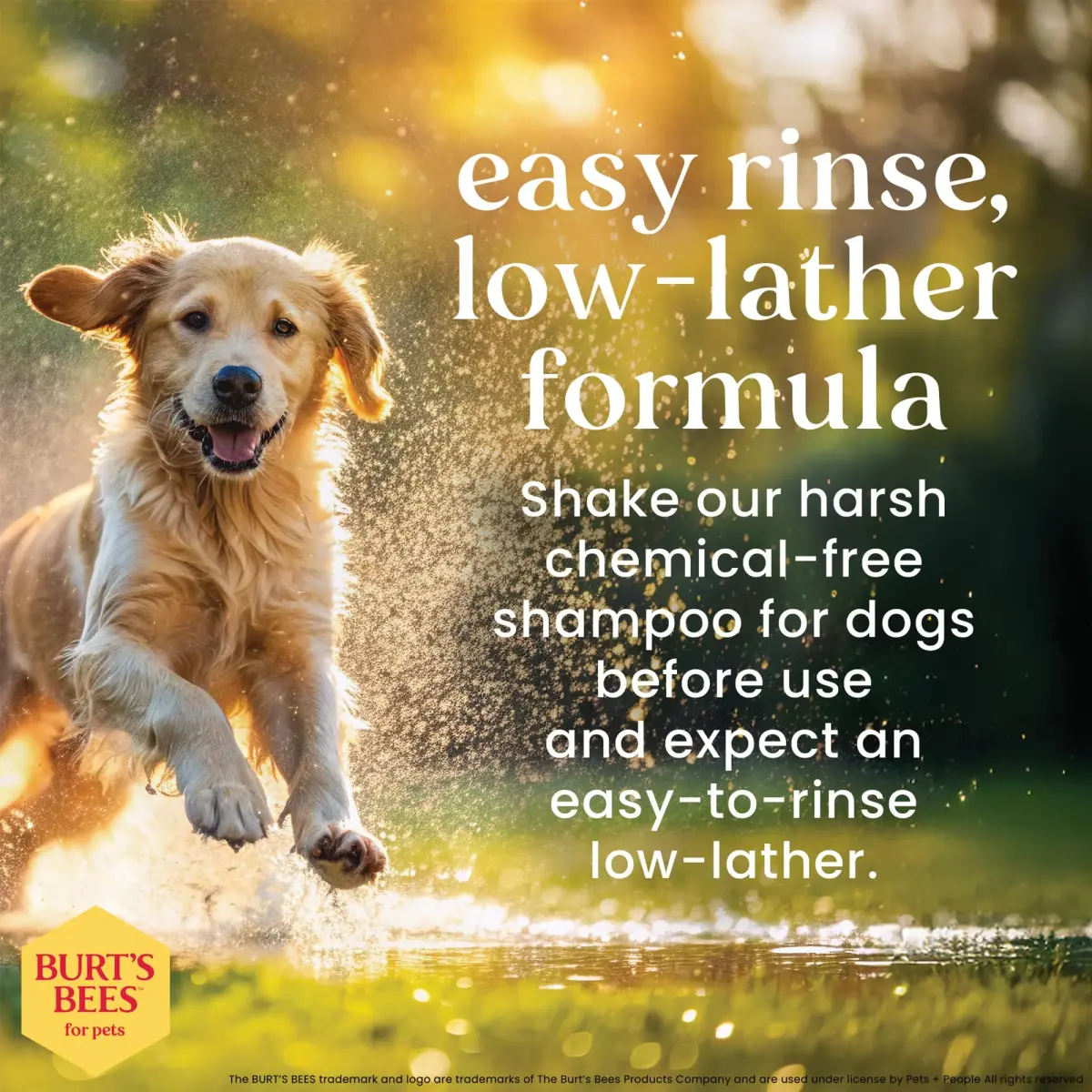 Burt's Bees for Pets Itch Soothing Dog Shampoo Honeysuckle 473ml (16 Fl Oz) | Gentle Formula for Itchy, Dry Skin - view 4