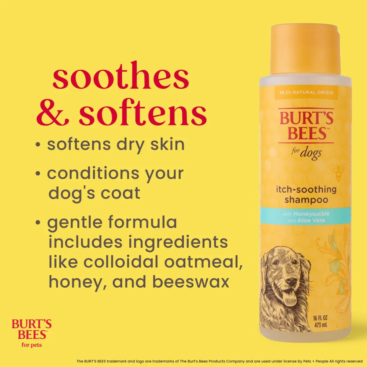 Burt's Bees for Pets Itch Soothing Dog Shampoo Honeysuckle 473ml (16 Fl Oz) | Gentle Formula for Itchy, Dry Skin - view 3