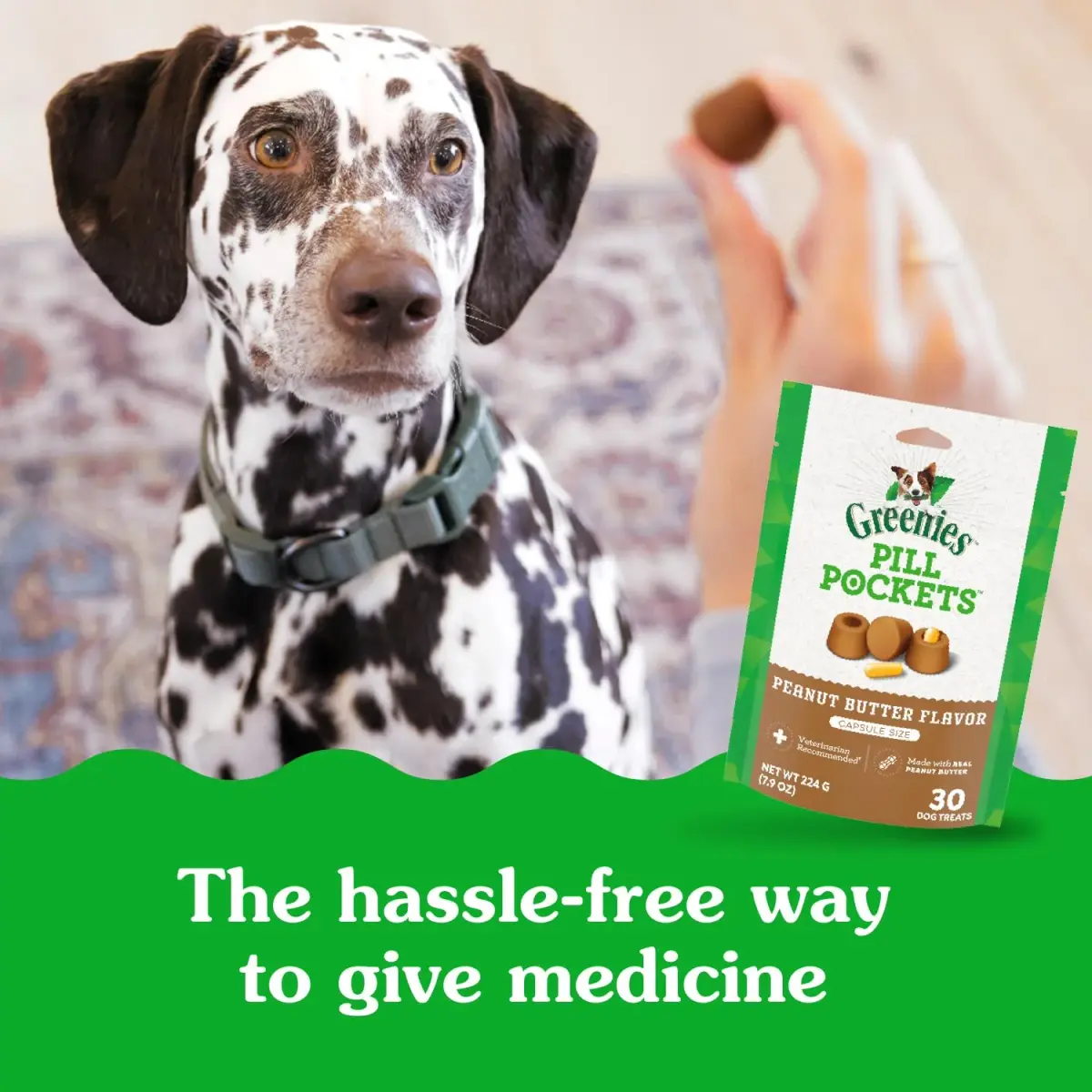 Greenies Pill Pockets Peanut Butter Large Size Dog Treats 180 Count (7.9 oz x 6) | Vet-Recommended Medicine Masking - view 4