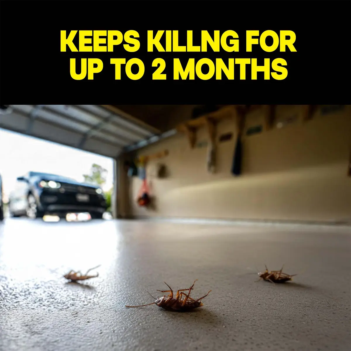 Raid Deep Reach Pest Killer & Roach Fogger 1.5 fl oz | Indoor Roach & Flea Control, Residual Action for Up to 2 Months - view 3