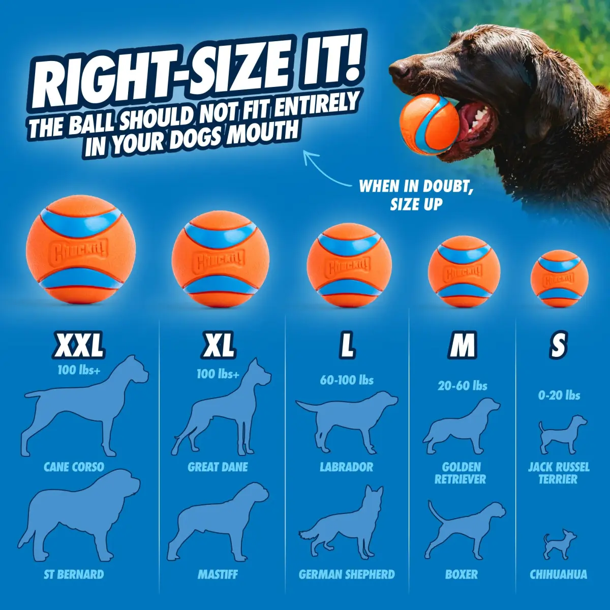 Chuckit! Ultra Ball Dog Toy XL 3.5-in (8.9cm) — Durable Rubber, High Bounce, Floats - view 6