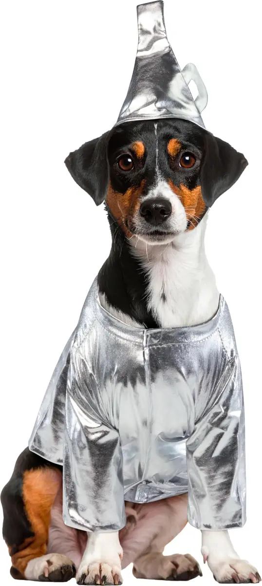 Rubies Wizard of Oz Tin Man Pet Costume for Dogs & Cats | Silver Shirt & Funnel Hat (Small 6-10 lbs) - view 2