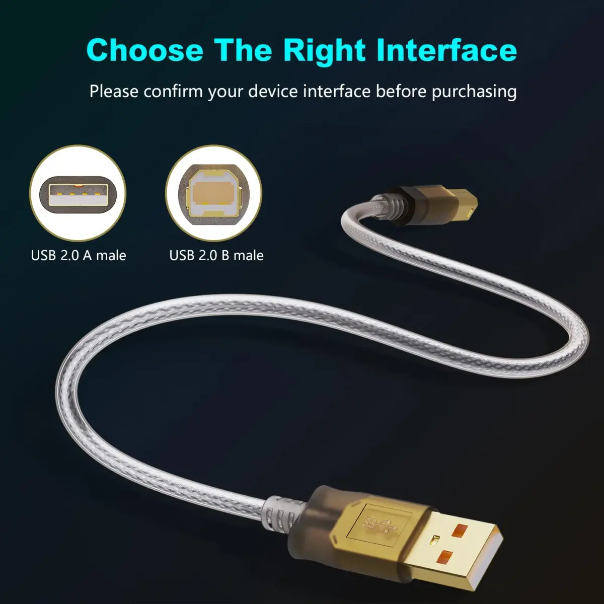 Jelly Tang USB 2.0 Printer Cable 3m (10ft) | High-Speed Data Transfer for Printers and Scanners - view 2