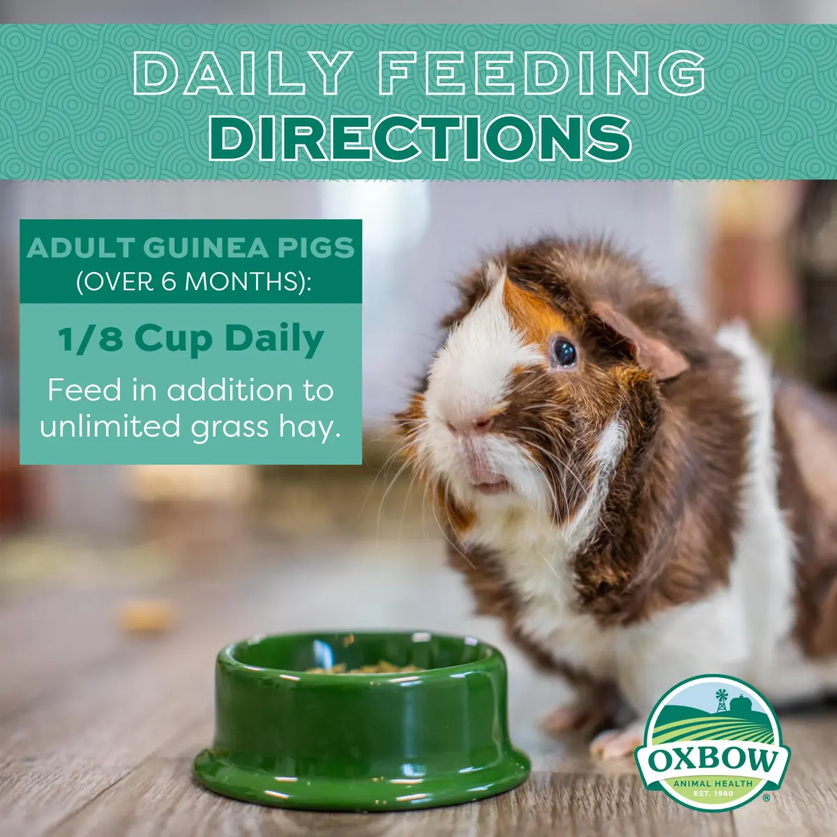 Oxbow Essentials Adult Guinea Pig Food, Timothy Hay Pellets, USA, 5 lb | Complete, High-Fiber Nutrition for Guinea Pigs - view 3