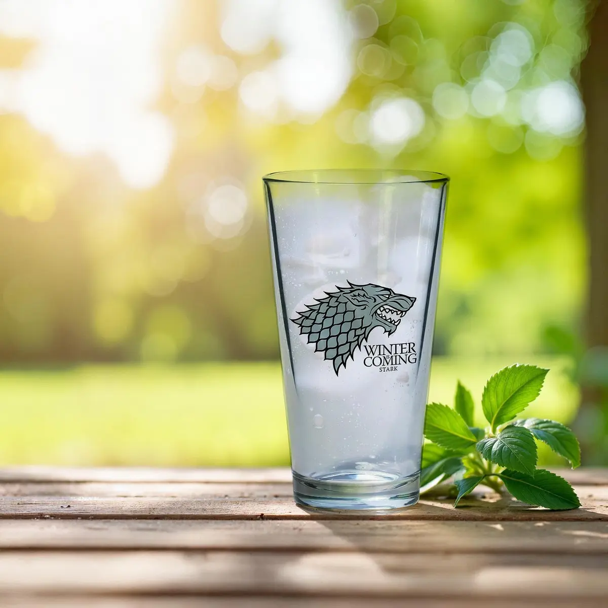 Dark Horse Game of Thrones Pint Glass Set: Stark & Baratheon 16oz | Officially Licensed Fantasy Drinkware - view 3