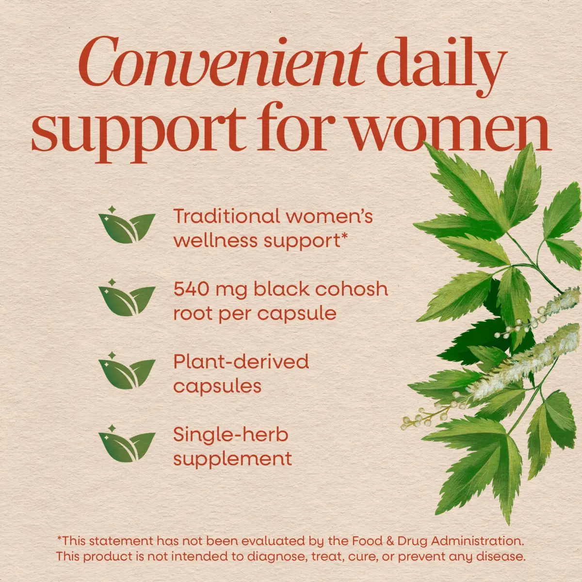 Nature's Way Black Cohosh Root Capsules, Vegan, 180 Count | Traditional Women's Herbal Supplement - view 3
