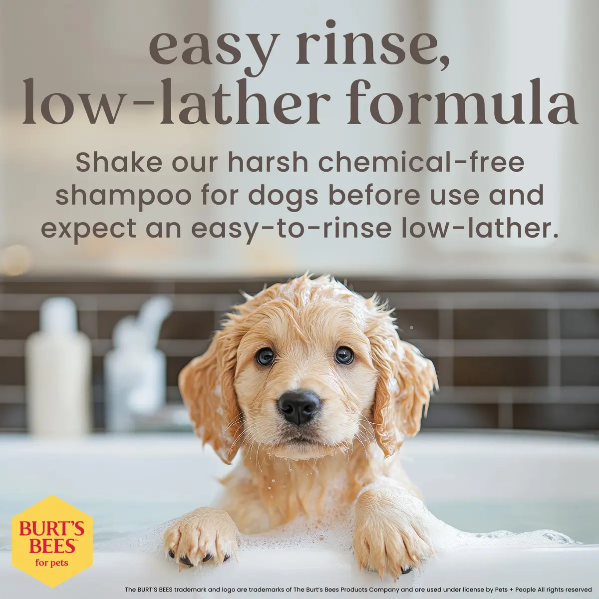 Burt's Bees for Pets Tearless Puppy Shampoo & Conditioner with Buttermilk, 473ml (16 Fl Oz) | Gentle 2-in-1 Formula for Sensitive Skin - view 4