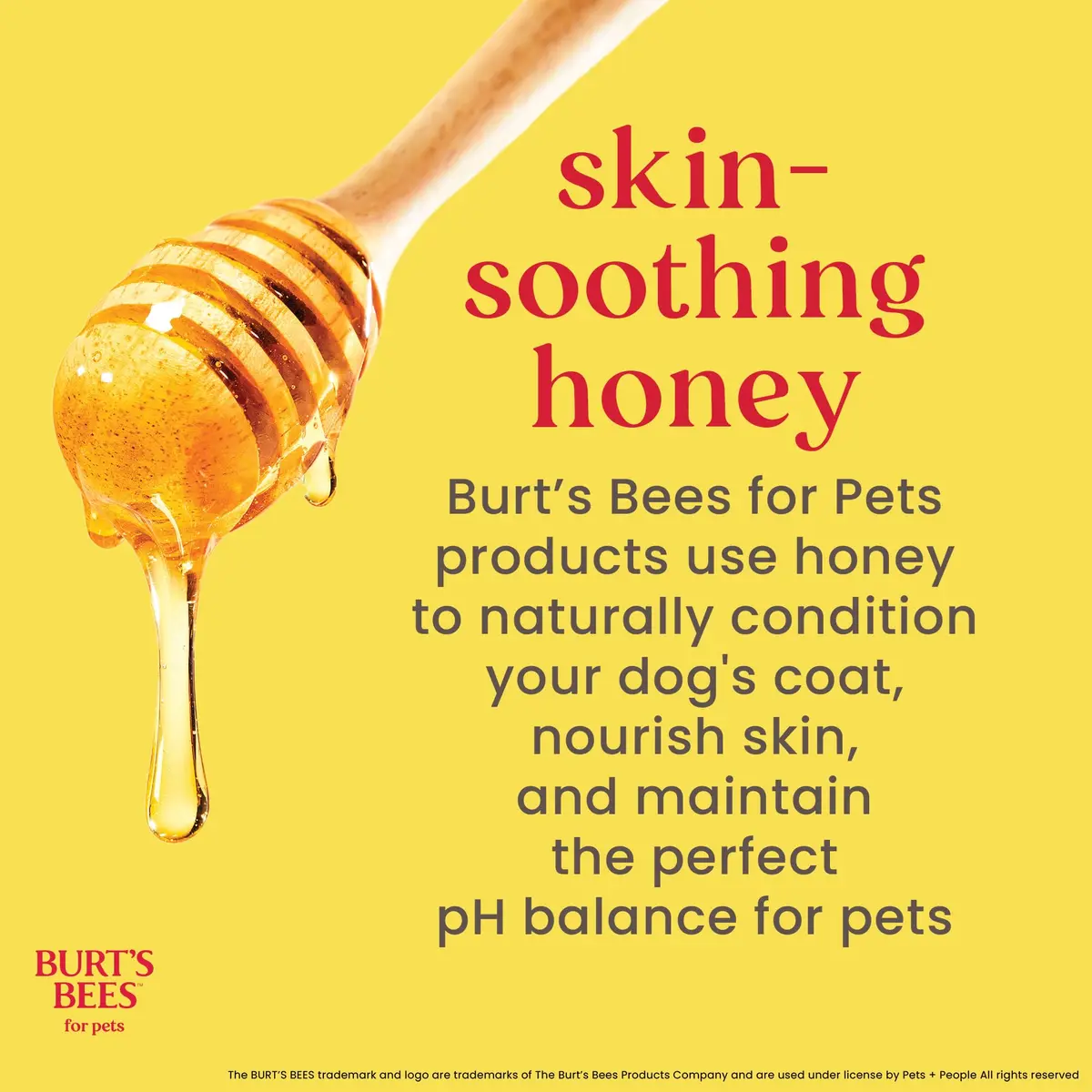 Burt's Bees for Pets Tearless Puppy Shampoo & Conditioner with Buttermilk, 473ml (16 Fl Oz) | Gentle 2-in-1 Formula for Sensitive Skin - view 6