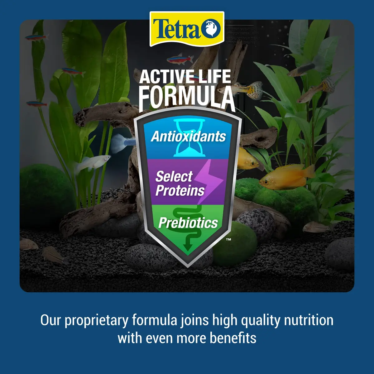 Tetra Cichlid Floating Pellets 6 Oz | Nutritionally Balanced Fish Food for Top & Mid-Water Feeders - view 5