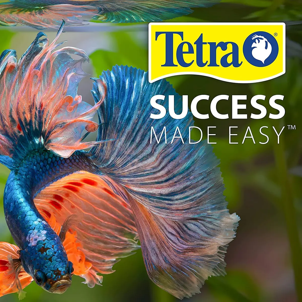 Tetra Cichlid Floating Pellets 6 Oz | Nutritionally Balanced Fish Food for Top & Mid-Water Feeders - view 7