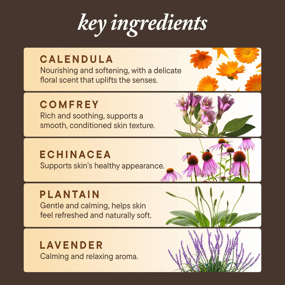 Kuumba Made Scar Care Salve Herbal Balm with Comfrey & Calendula 2 Oz | Supports Skin Renewal & Discoloration - view 5