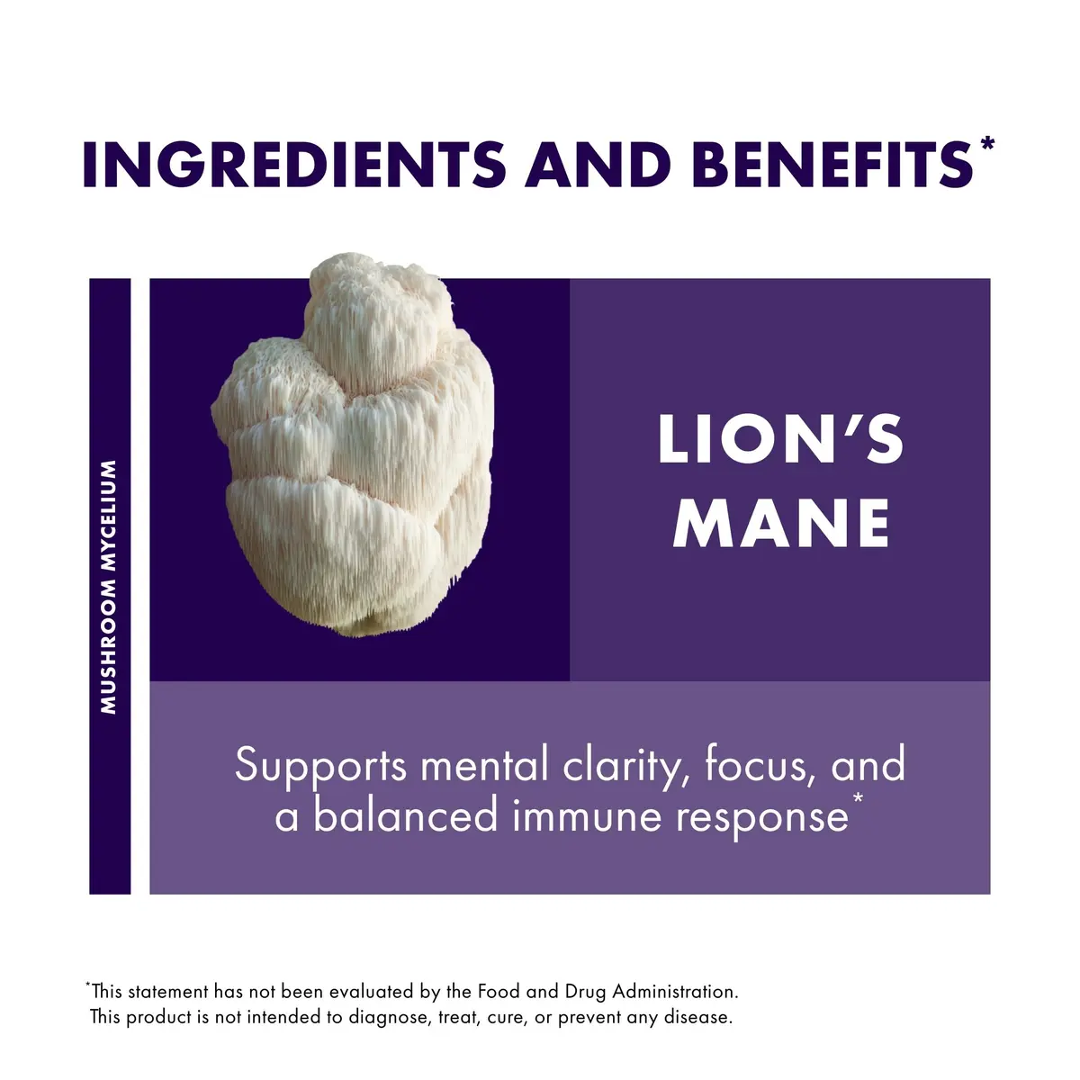 Host Defense Lion's Mane, Brain Support & Focus, 30 Capsules | Supports Memory & Clarity - view 6