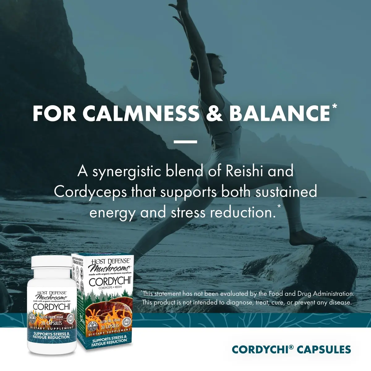 Host Defense CordyChi Capsules, 30 Capsules | Immune & Energy Support with Organic Mushrooms - view 5