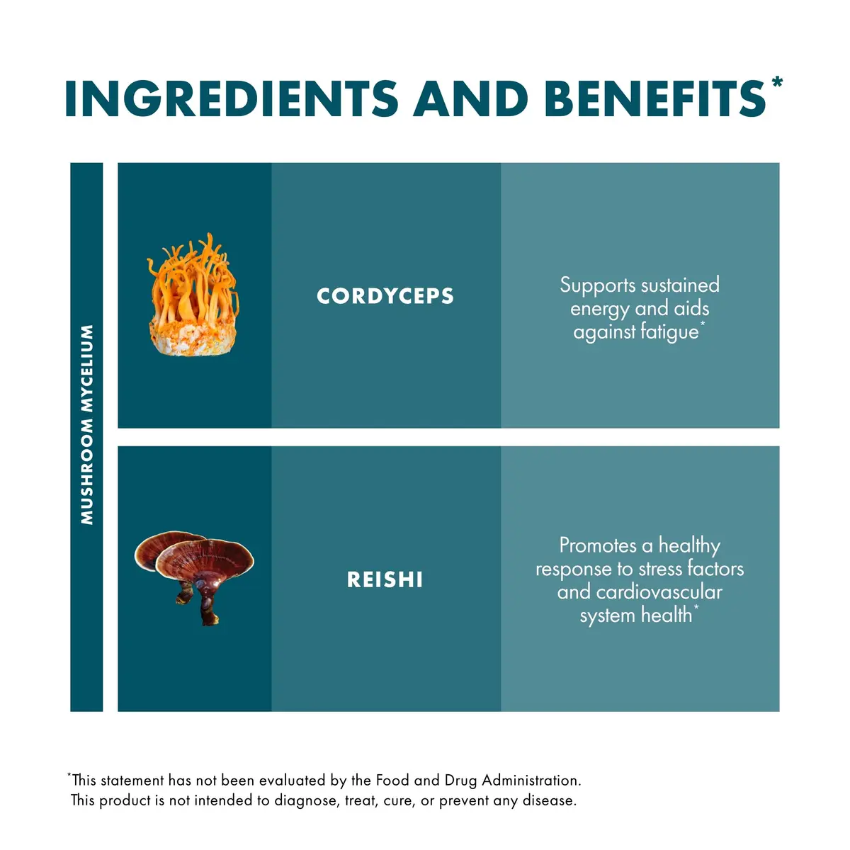 Host Defense CordyChi Capsules, 30 Capsules | Immune & Energy Support with Organic Mushrooms - view 6