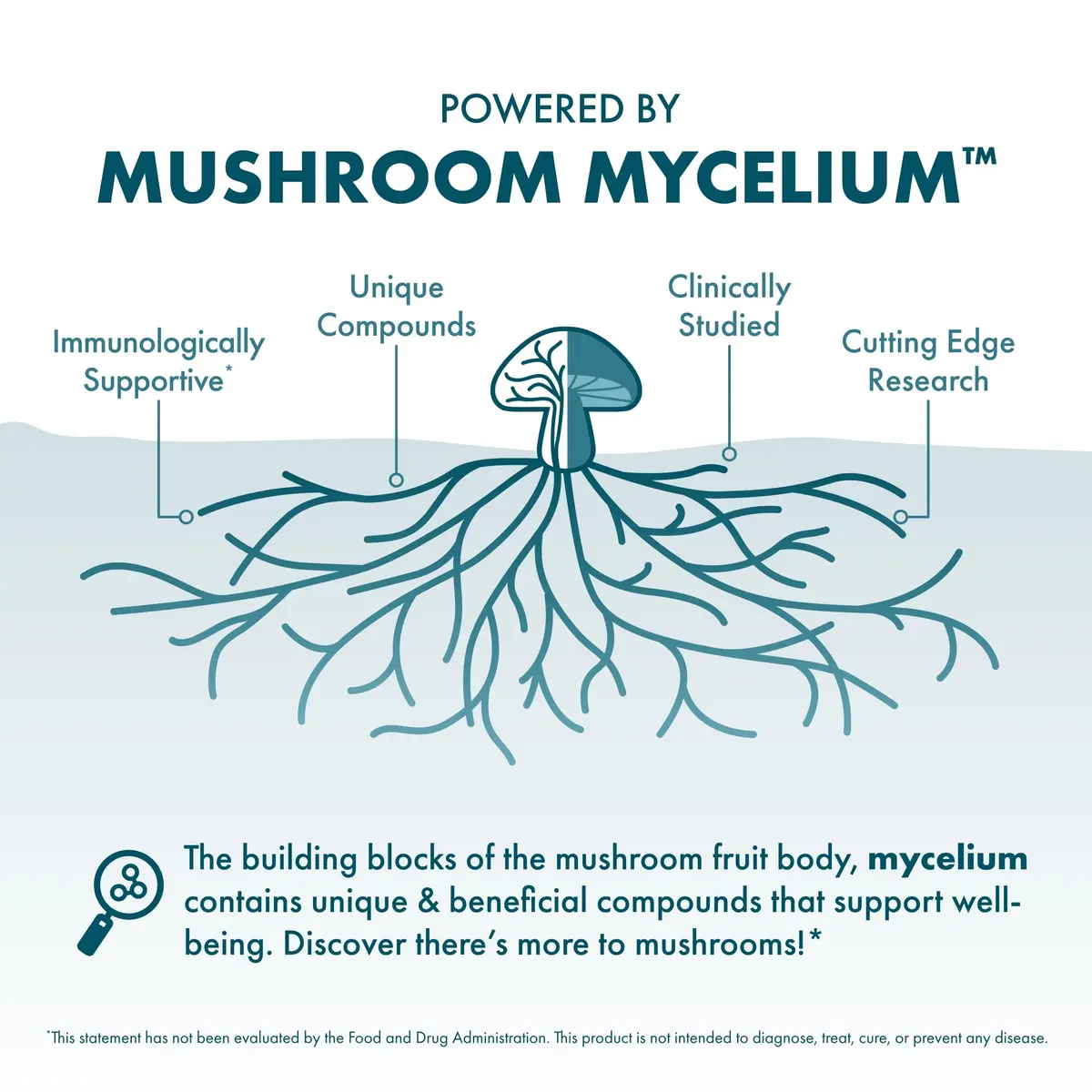 Host Defense CordyChi Capsules, 30 Capsules | Immune & Energy Support with Organic Mushrooms - view 4