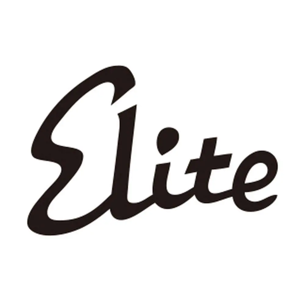 Pilot Elite 95s Fountain Pen 1 Count | Medium Nib, Black Ink, Plastic Body - view 3
