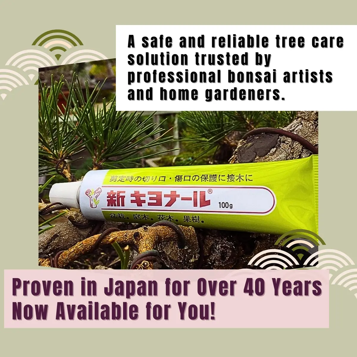 Kiyonal Bonsai Pruning Cutting Sealer Paste 100g (3.53 oz) | Japanese Wound Sealant for Healthy Tree Growth - view 5