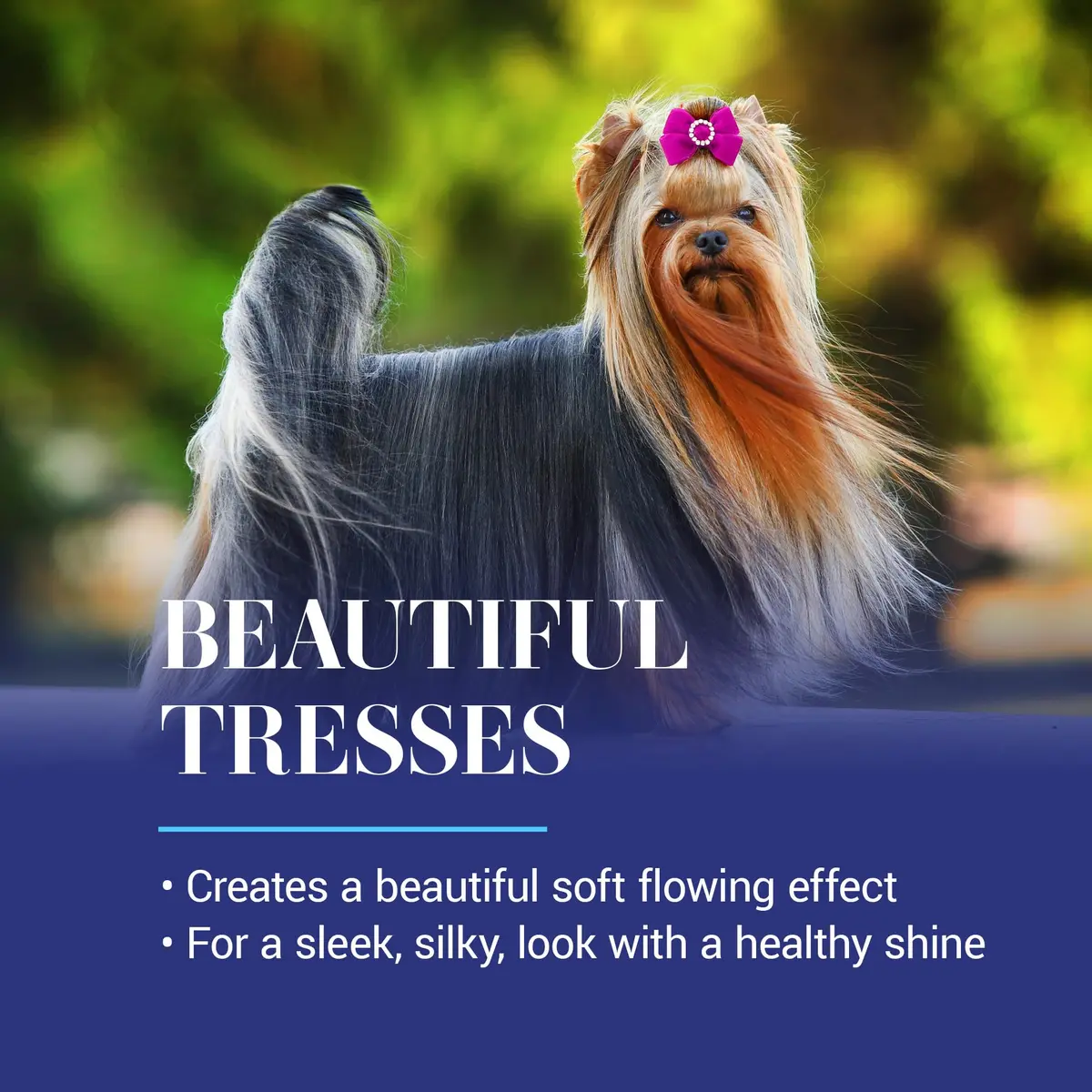 Chris Christensen Spectrum Ten Dog Shampoo 473ml | Gentle Cleansing for Soft Coats, Made in USA - view 4
