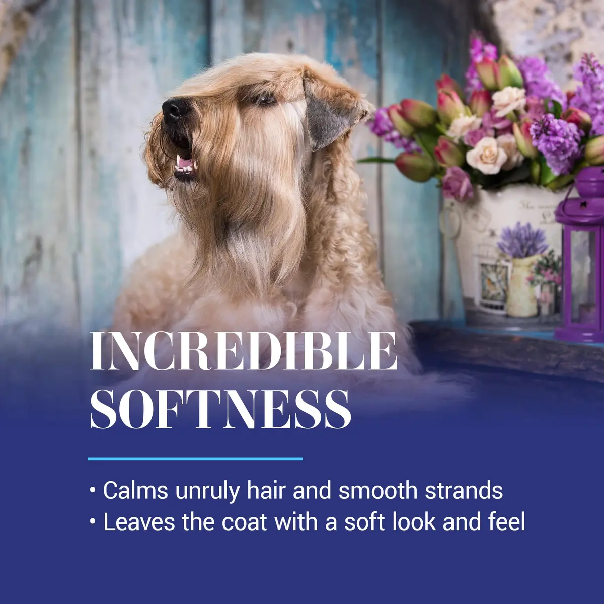 Chris Christensen Spectrum Ten Dog Shampoo 473ml | Gentle Cleansing for Soft Coats, Made in USA - view 5