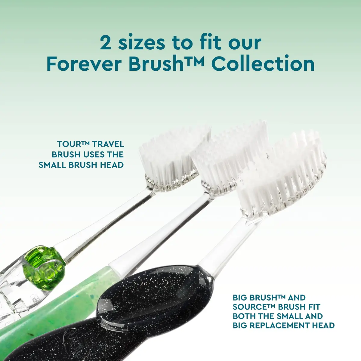 RADIUS Replacement Toothbrush Heads, Soft Bristles, 2-Count | Improve Gum Health & Reduce Gum Issues - view 3
