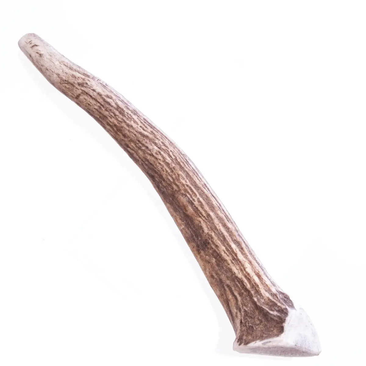 Big Sky Dog Antler Chew Medium 8 Ounce | Natural Durable Chew for Medium Dogs - main product image
